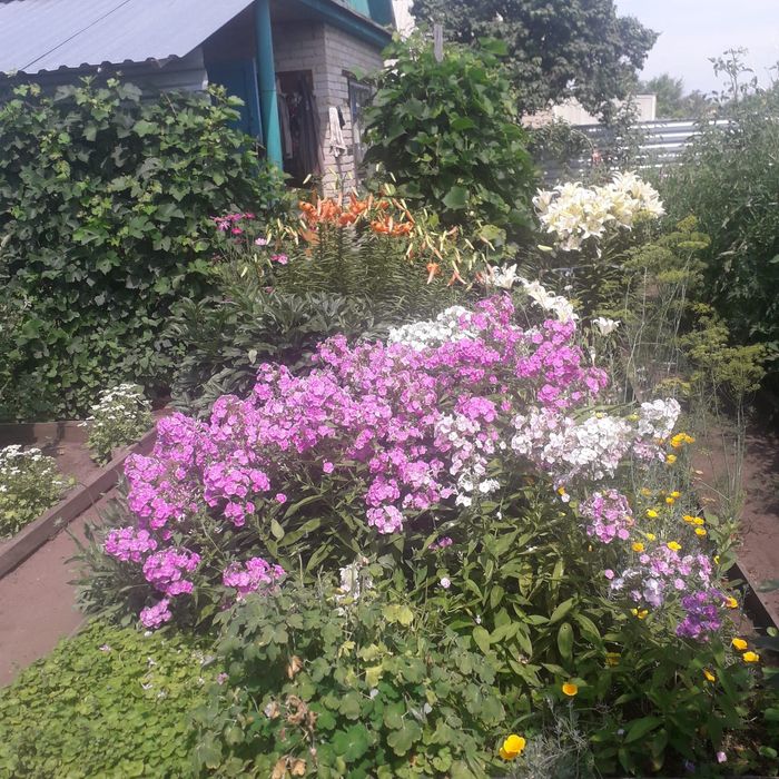 Продам дачу с.о.Пригородное
