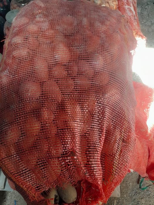 Продам  семяную картошку