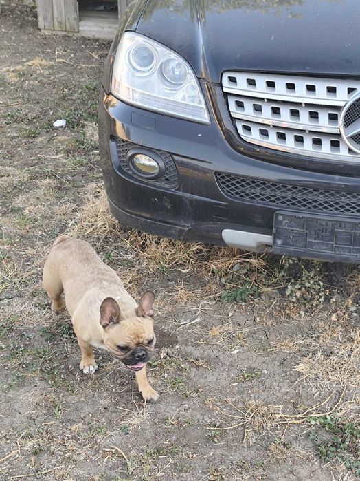 Продава на части Mercedes ML 320