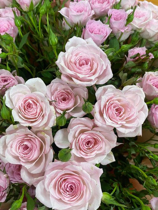 Цветы за 20 000 тенге