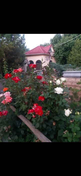 Квартира посуточно коттедж дача дом