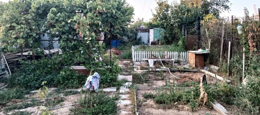 Огород. 2 сотки. Родничок 1.