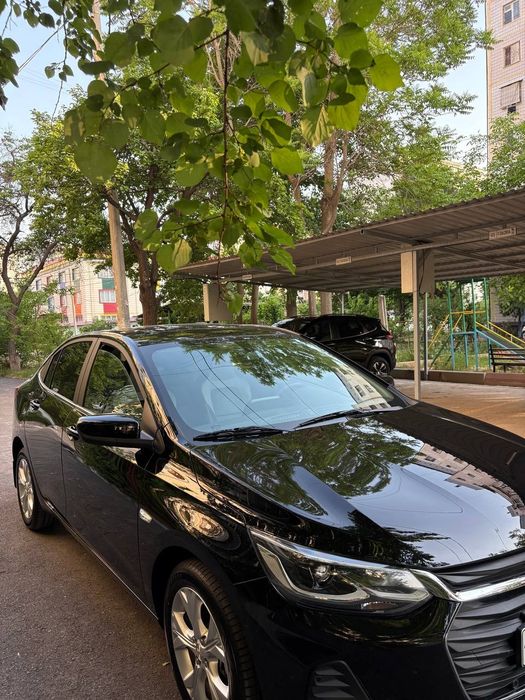 Оникс пример 2024