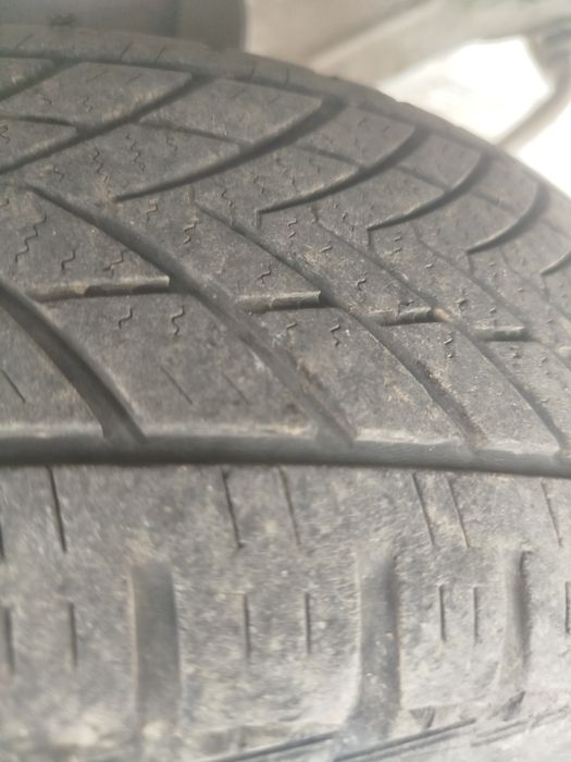 1200$ kelshamiz 1986