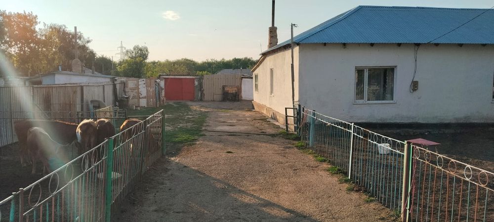 Қызылқайын ауылынан үй сатамыз