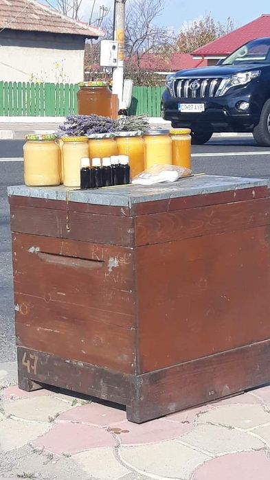 Miere floarea soarelui si polen crud !Livrez si la domiciliu!