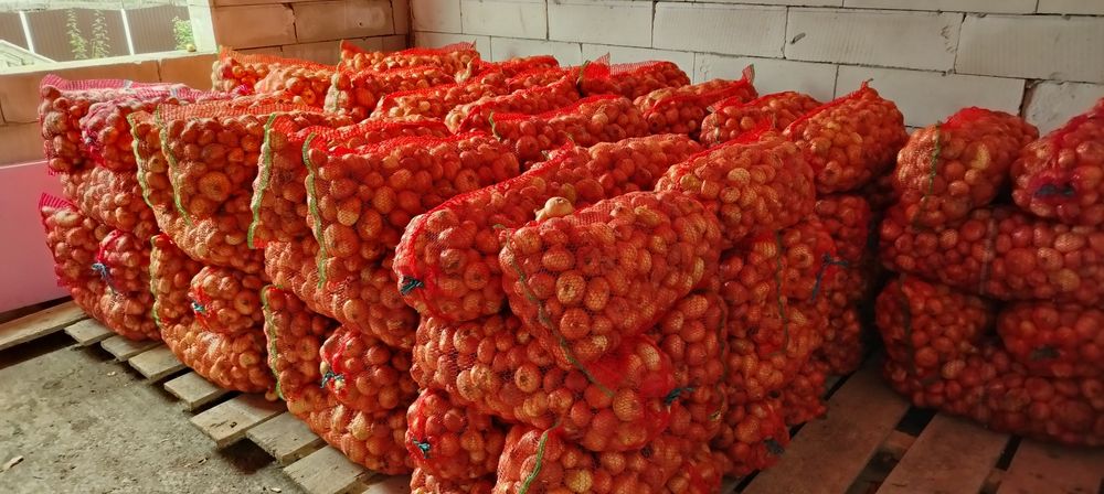 Ciapa plata cantitate mare