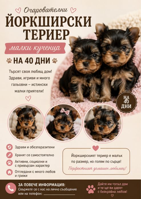 Йоркширски териер