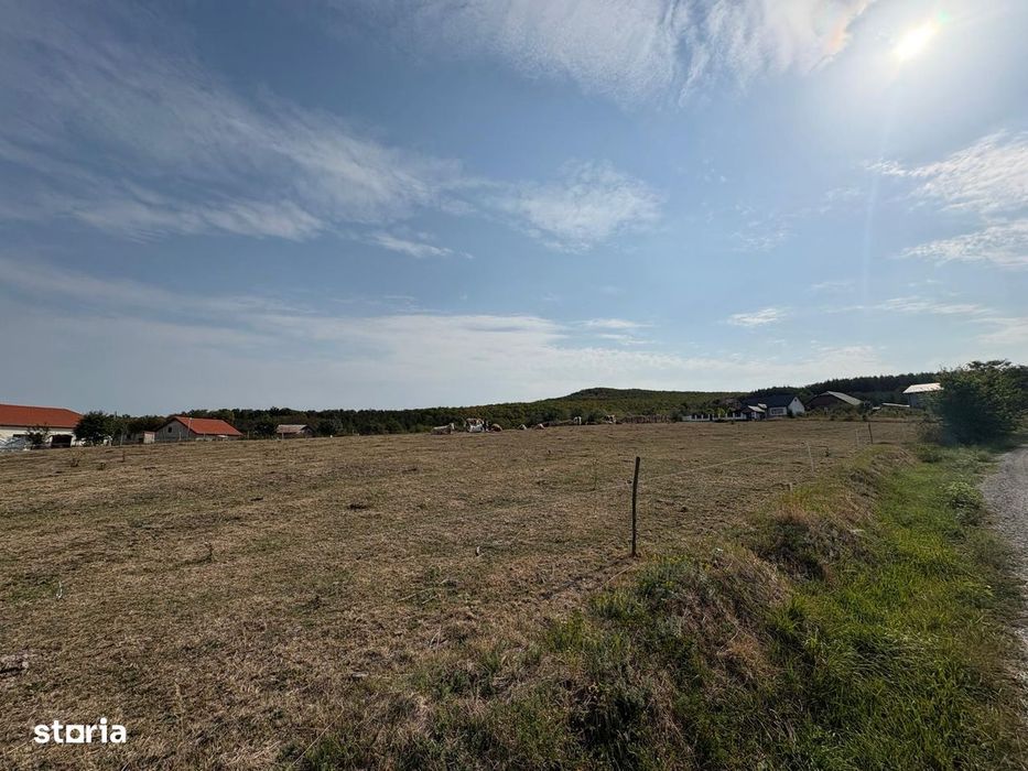 Teren intravilan 2 Ha -Ortelec parcelabil 2800eur/ar neg