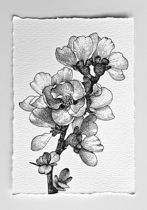 Нежни графични рисунки на цветя – ръчна изработка