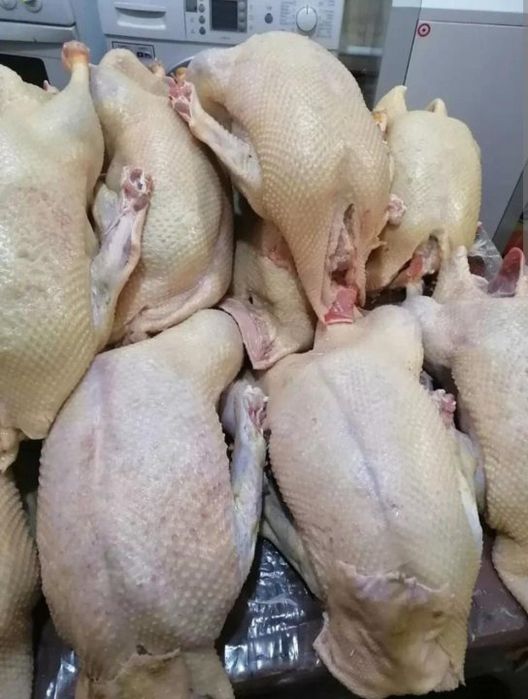 Продаётся мясо утки