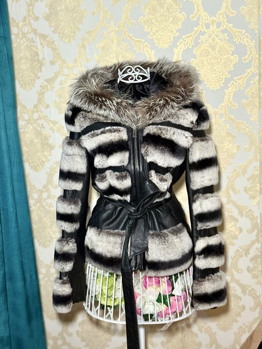 Blana chinchilla superba