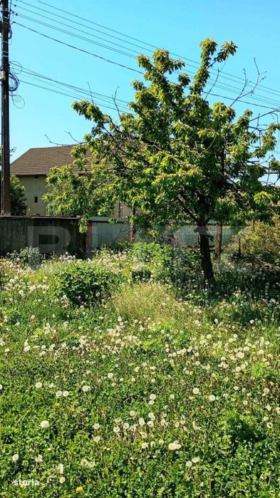 Casa cu teren generos de 1100 mp in Comuna Mica – ideala pentru inve
