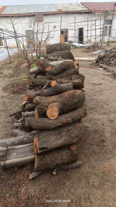 O'tin sotiladi narxi kelishiladi