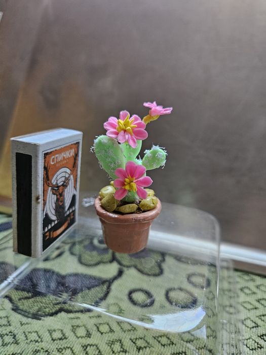 Кактусы сувенирные