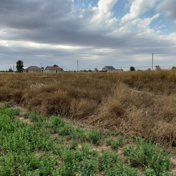 Участок 1га, село Береке