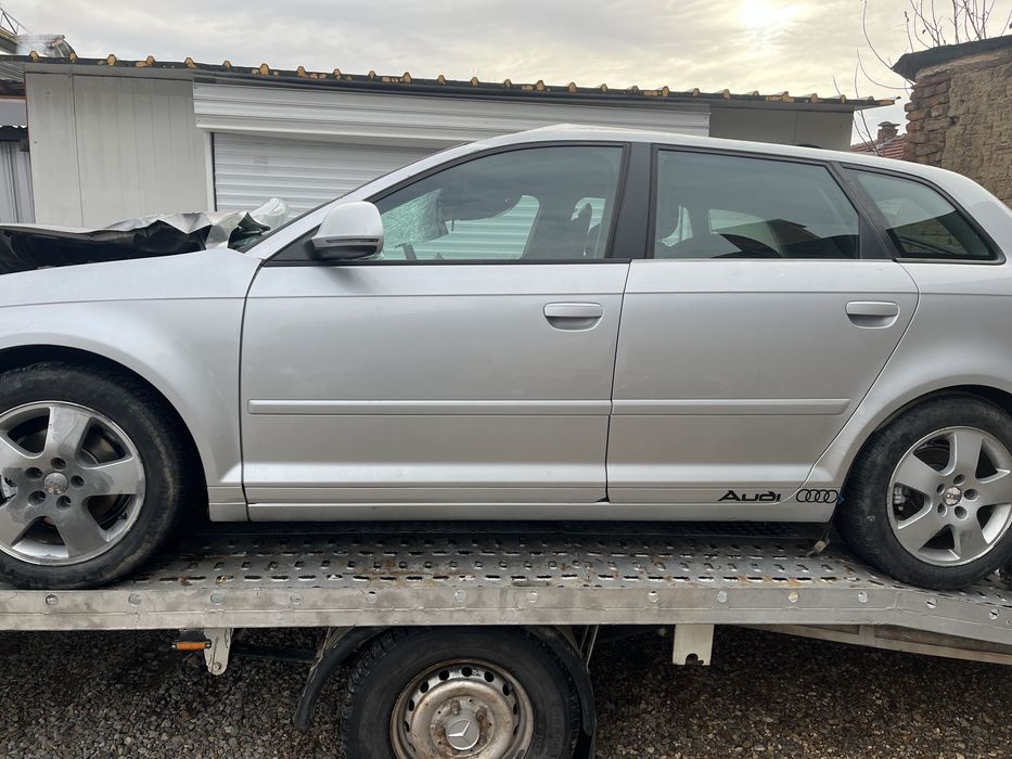 Audi A3 8P 1.9TDI на части