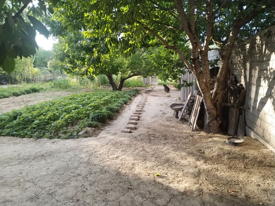 Qibray tumanda uy sotiladi