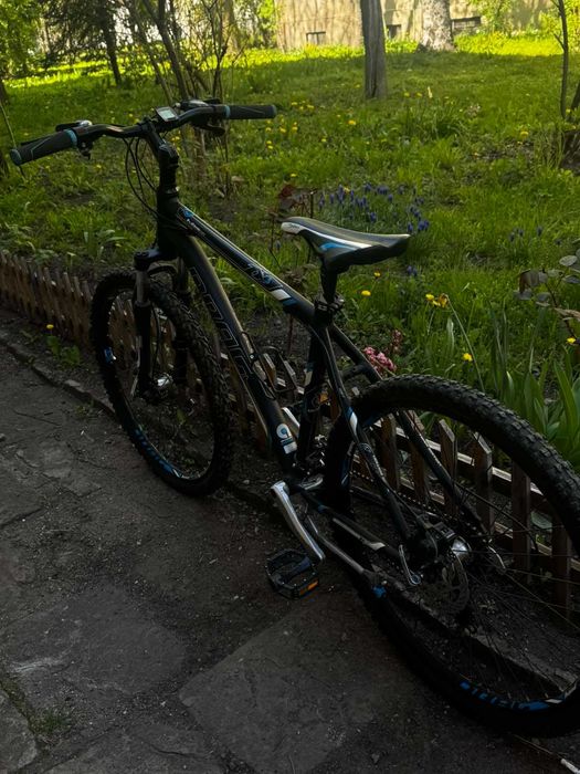 Drag & Specialized