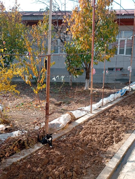 Уй сотилади.Срочна