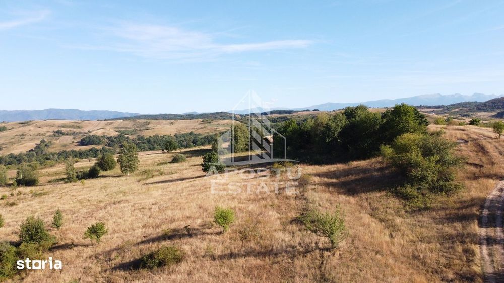Teren de 50.000mp, priveliste panoramica spre munte si lac, Hunedoara