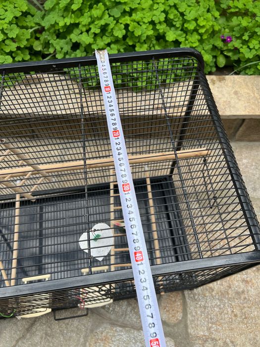 Голяма клетка папагали