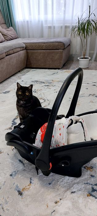 Авто кресло Авто люлька