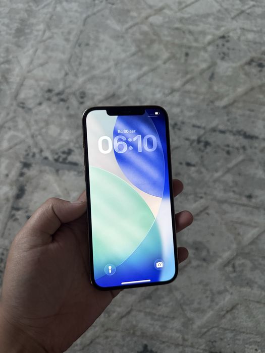 iPhone 12 Pro Max 256gb 100%