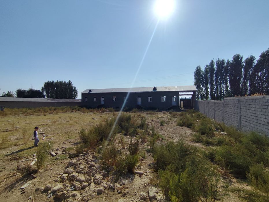 Зангиота тумани бўсувда 16 сотх 6хона иккита катта падваллик уй сотила