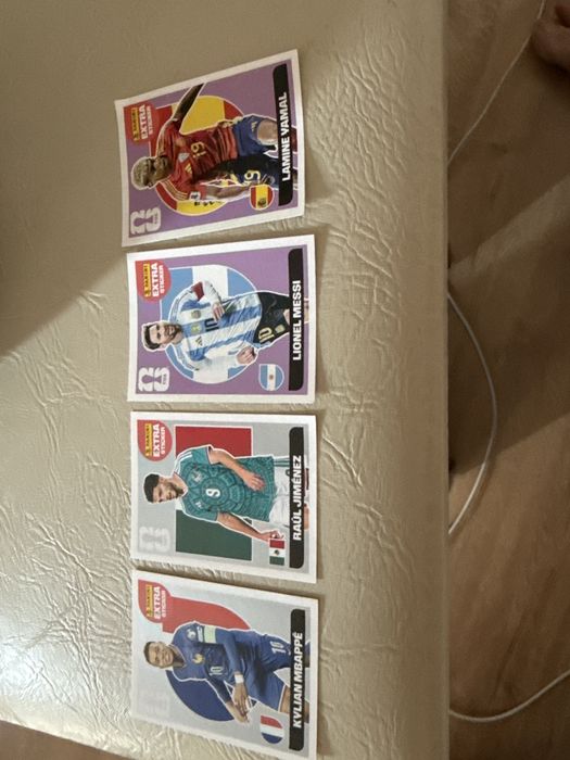 vand extra sticker panini