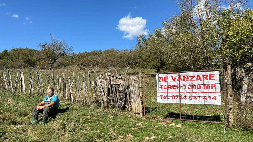 Teren intravilan cadastrat 7007 mp casa sau ferma in Bezdead Dambovita