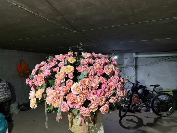 свежий огромный букет