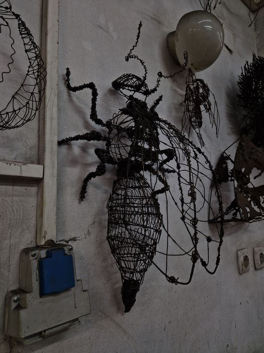 Оса от тел 60 см