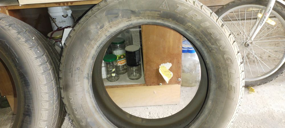 Покрышка зимный Трейнжел!