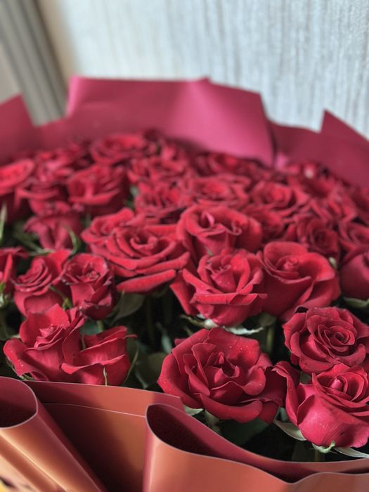 Цветы свежие 51 роза