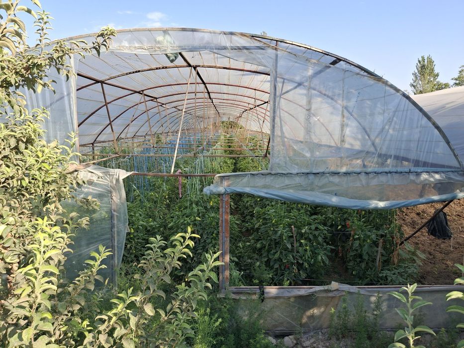 Теплица 14/40 метр