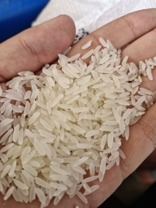 XORAZM guruchlari OPTOM