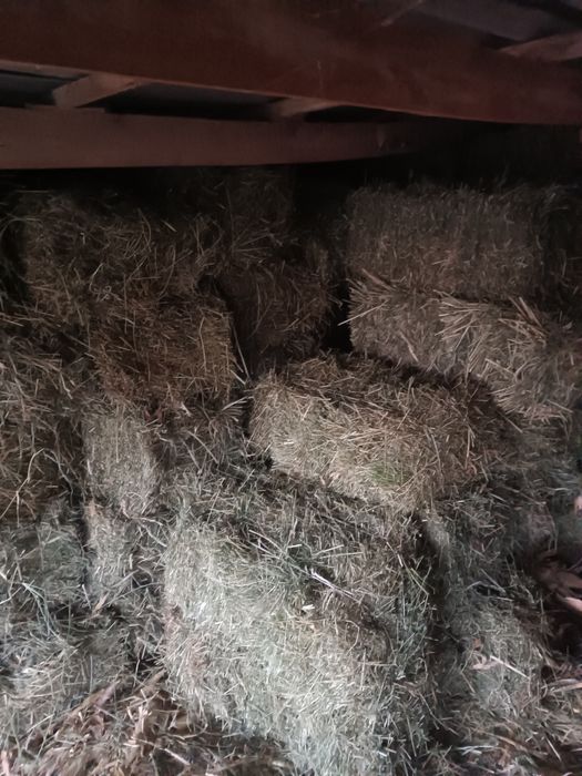 Beda press toza beda