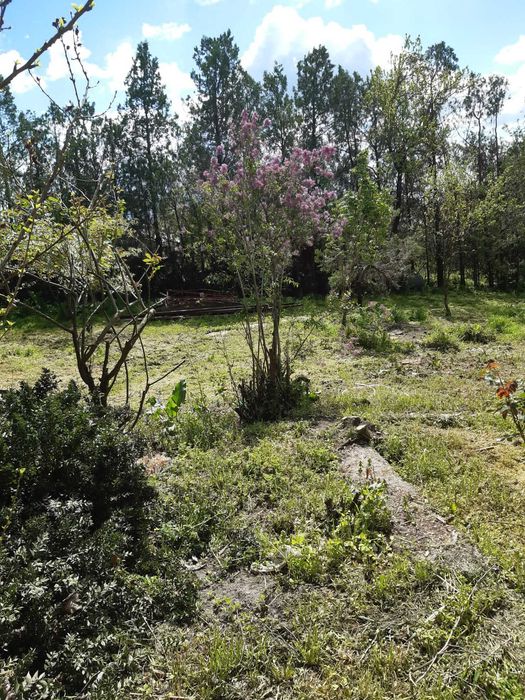 Casa cu teren 1200 mp si deschidere la lac