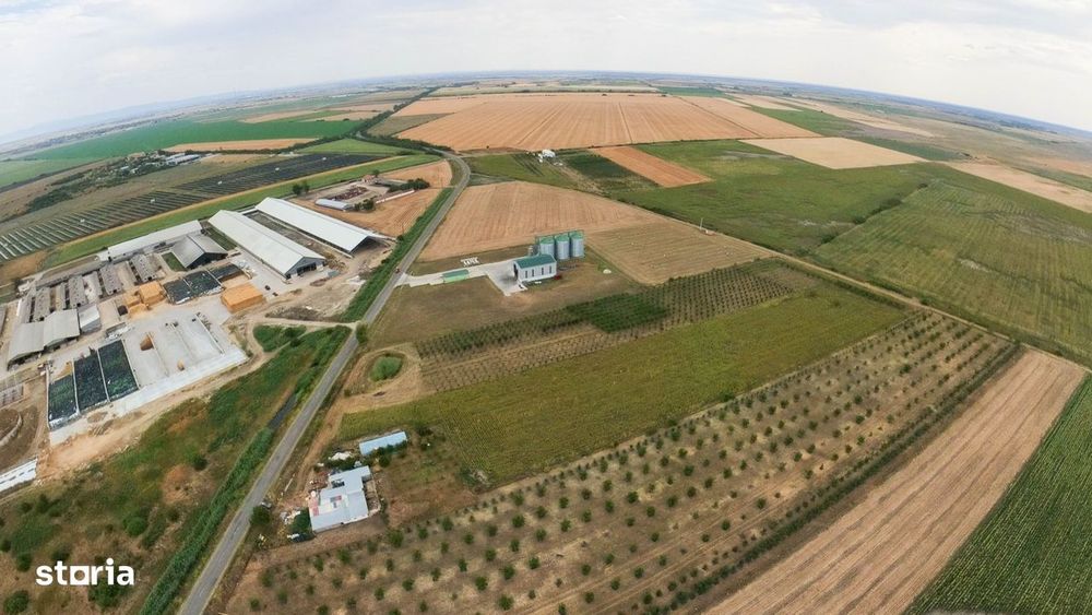 Livadă de 3,6 hectare în Iratoșu – Oportunitate