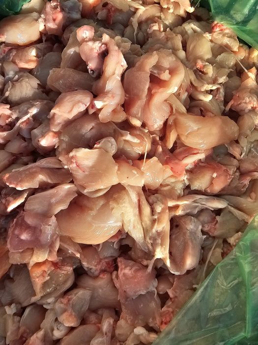 Hrana animale companie