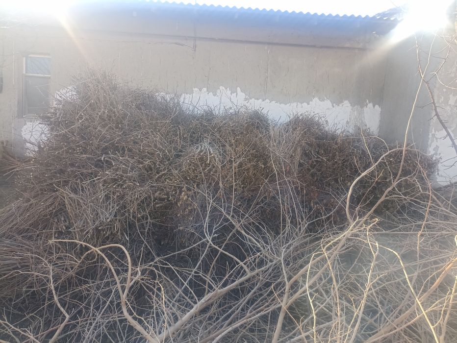 Утин самса ва нон пиширишга