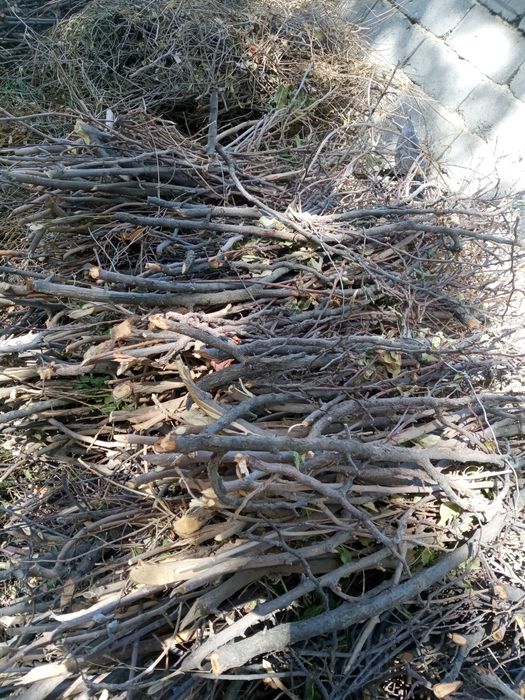 Utin bor non ba  somsa uchun