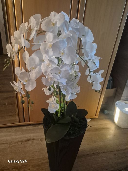 Orhidee silicon  dimensiune 125cm