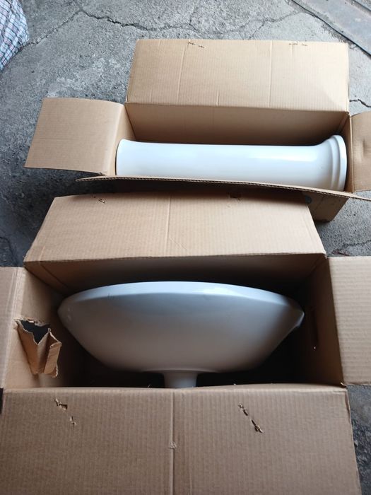 Рукомойник (тюльпан)