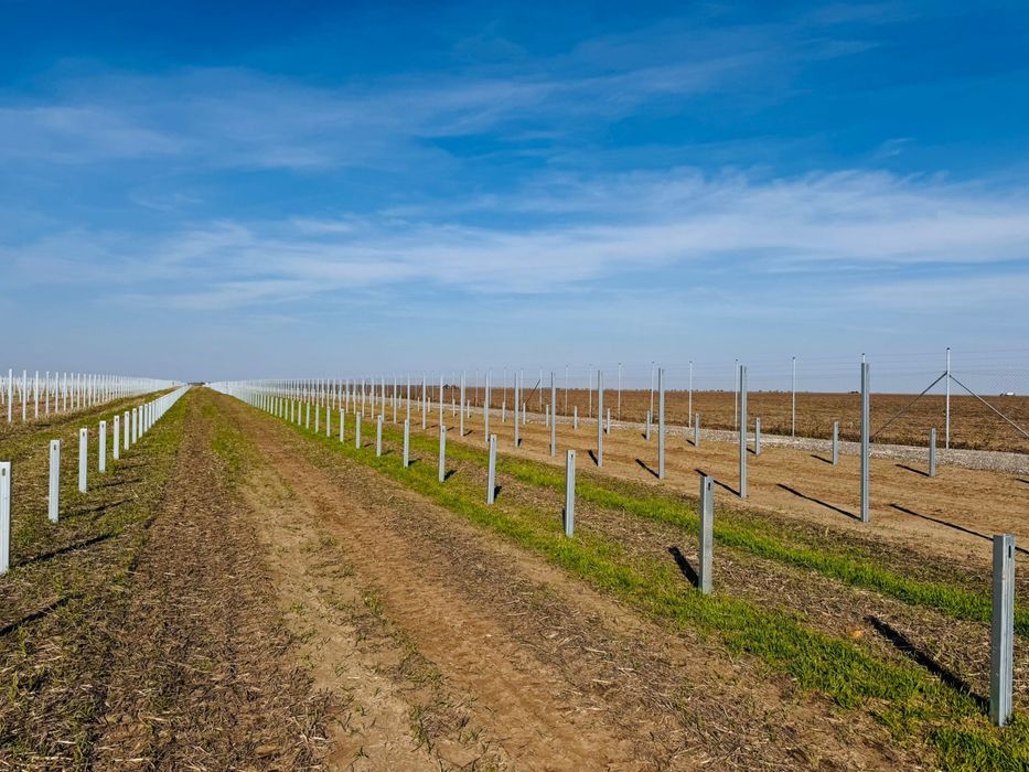 Prestez servicii/inchiriere sonete batipal