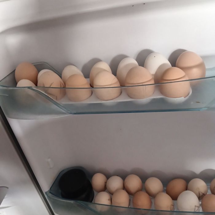 Арлер сатлад 4500
 Жымртка туып тыр