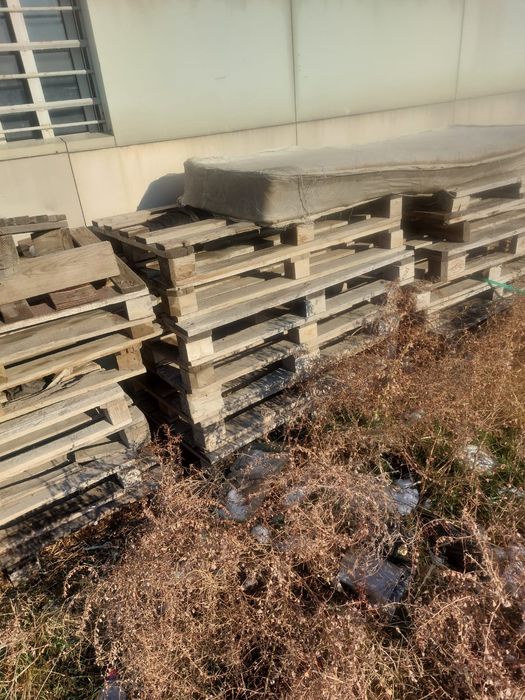 Поддоны,  Поддон