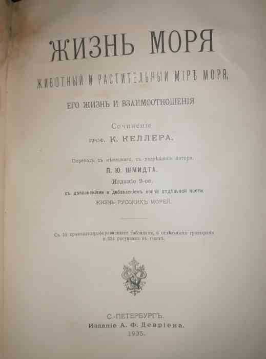 Жизнь моря- К. Келерь
