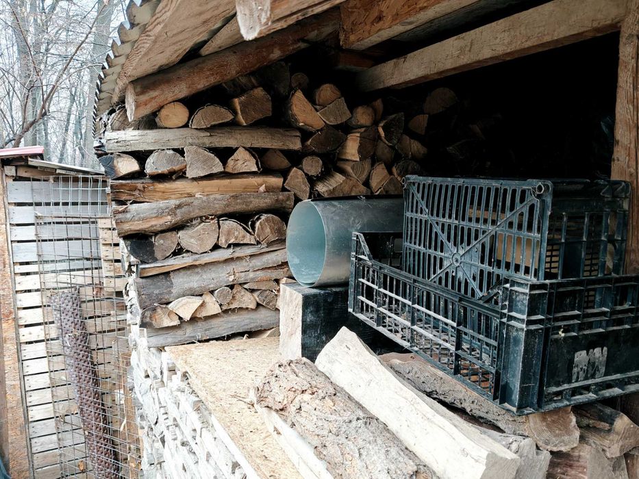 Lemne de foc uscate și tăiate